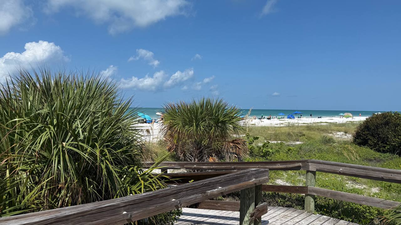 Strand in Florida – erster voller Tag (Bild 2)