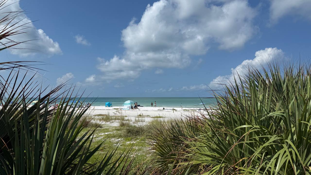 Strand in Florida – erster voller Tag (Bild 3)