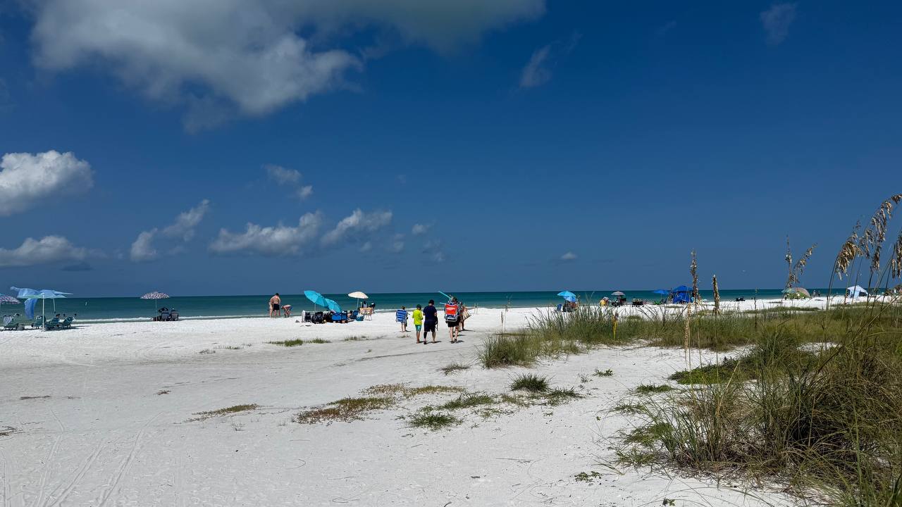 Strand in Florida – erster voller Tag (Bild 4)
