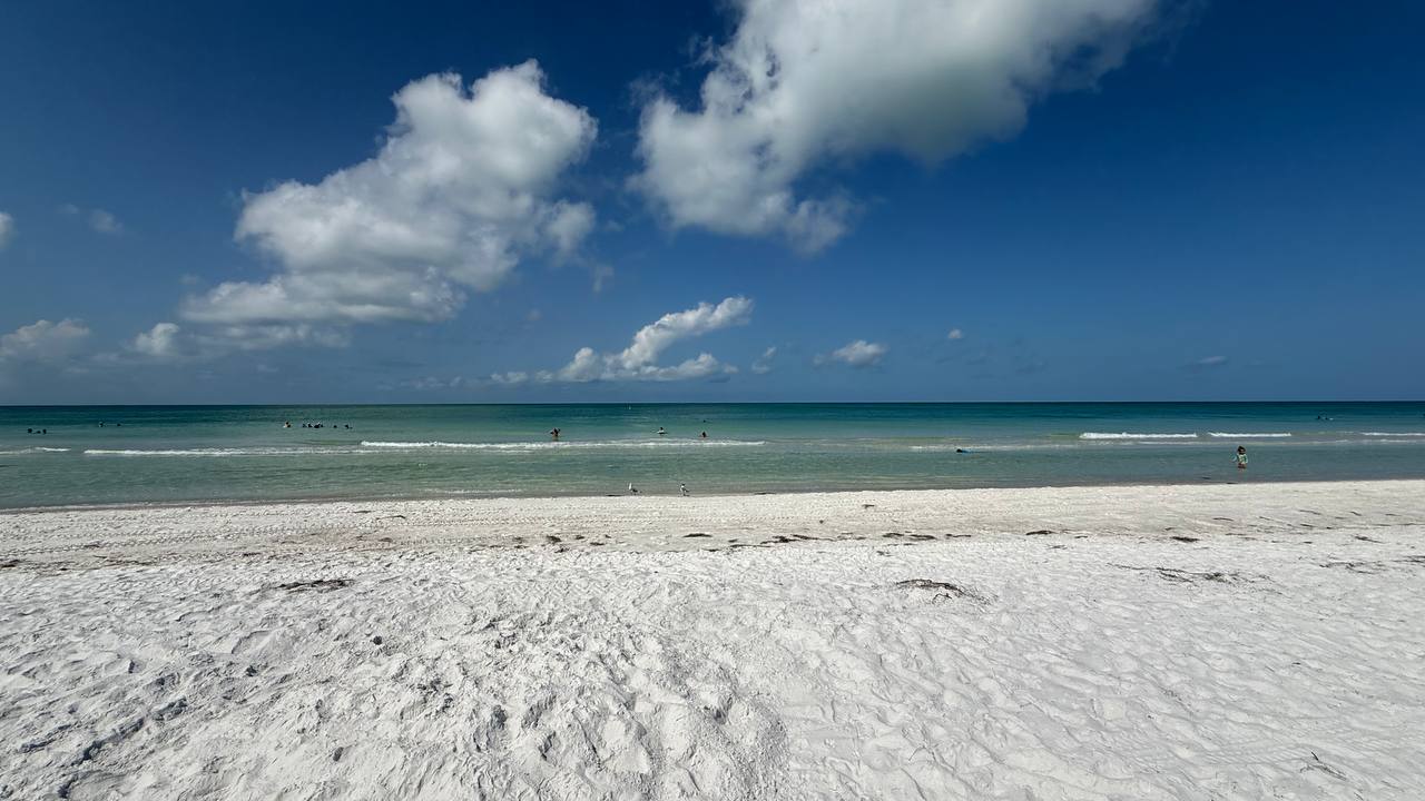 Strand in Florida – erster voller Tag (Bild 5)