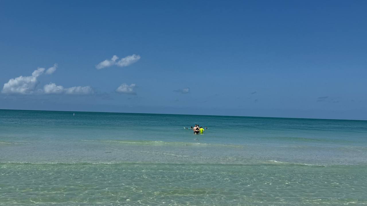 Strand in Florida – erster voller Tag (Bild 8)