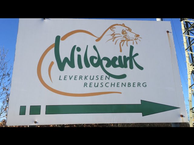Wildpark Reuschenberg – Wildtiere in Leverkusen