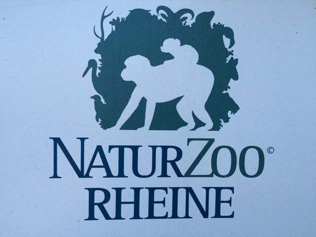NaturZoo Rheine – Zoo im Münsterland mit Seehundanlage