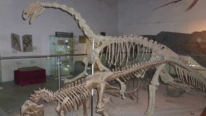 Erlebniswelt Steinzeichen – Dinosaurierausstellung im ehemaligen Themenpark bei Rinteln