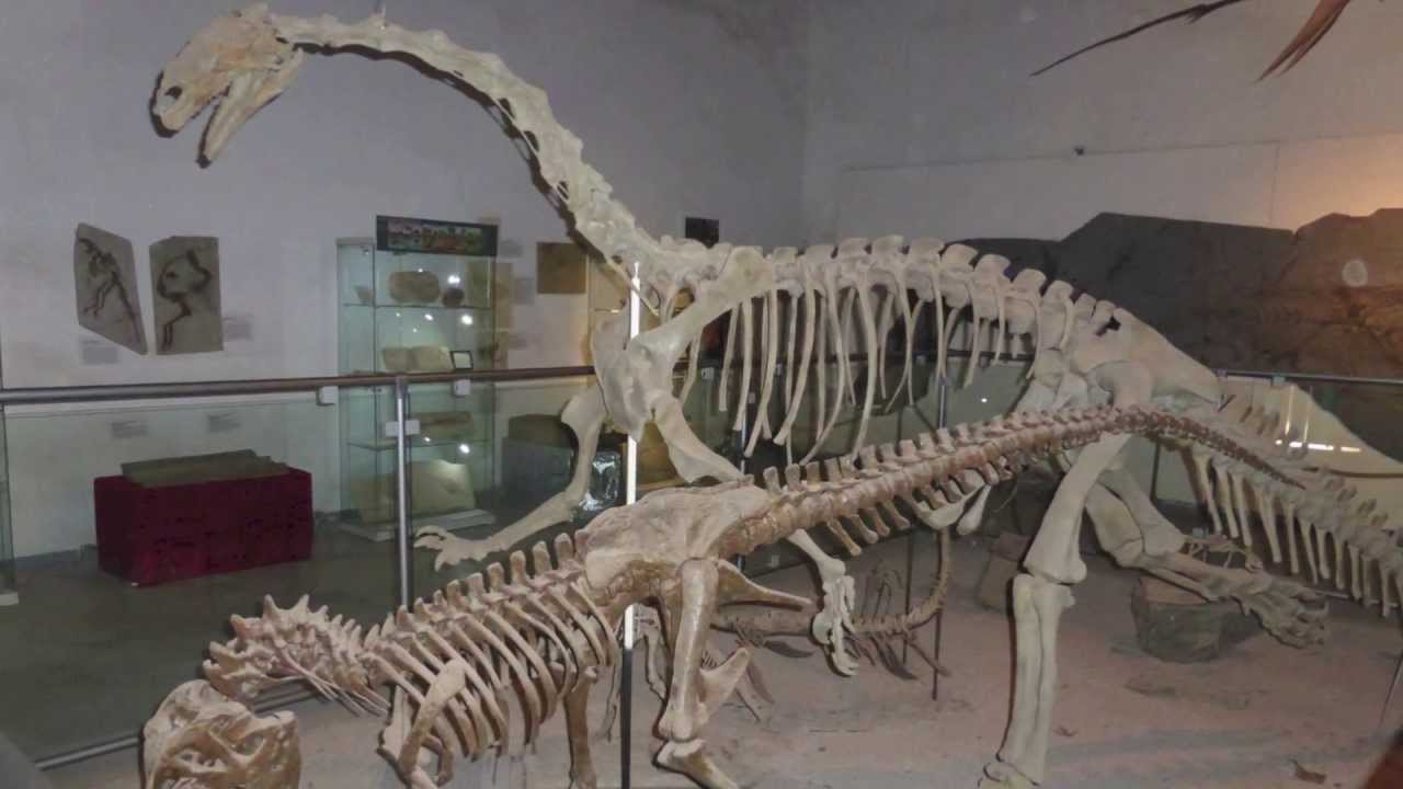 Erlebniswelt Steinzeichen – Dinosaurierausstellung im ehemaligen Themenpark bei Rinteln
