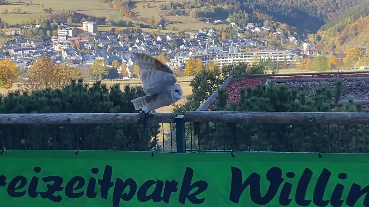 vl wildpark willingen ueberblick