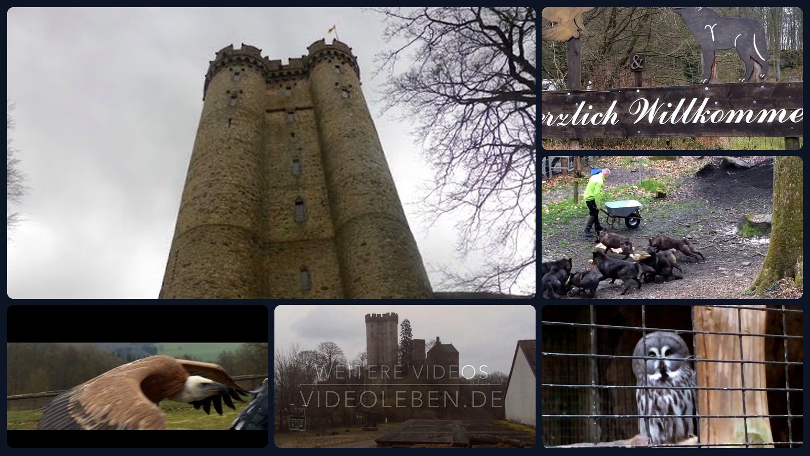 Adler- und Wolfspark Kasselburg – Collage unserer Videos aus Wölfen, Greifvogelschau und Burg