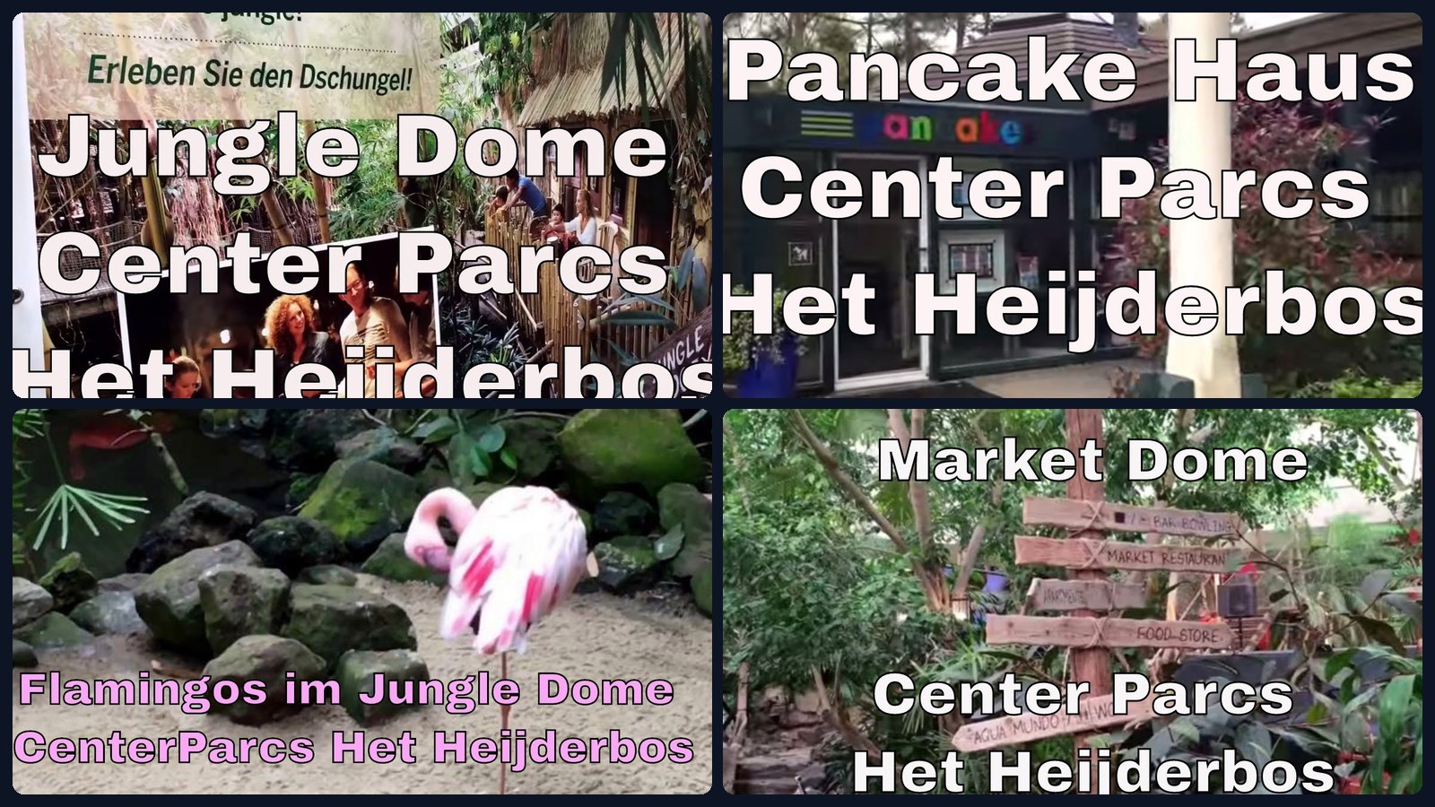 Market Dome und Jungle Dome im Center Parcs Het Heijderbos – Video-Mosaik