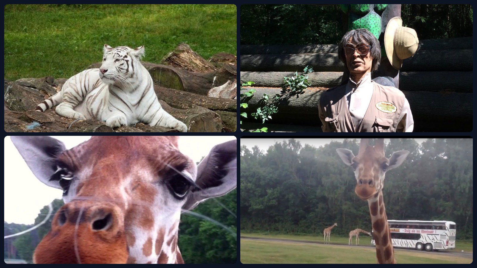 Safari im Serengeti-Park Hodenhagen – Video-Mosaik